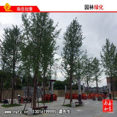 湖南常德园林景观设计、湖南常德绿化养护、湖南常德苗木生产与销售、湖南常德园林苗木栽植队伍、绿化苗木养护