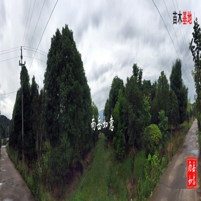 湖南长沙园林工程施工队、湖南长沙园林绿化后期养护管理、湖南长沙园林绿化工程、园林施工公司、绿化养护